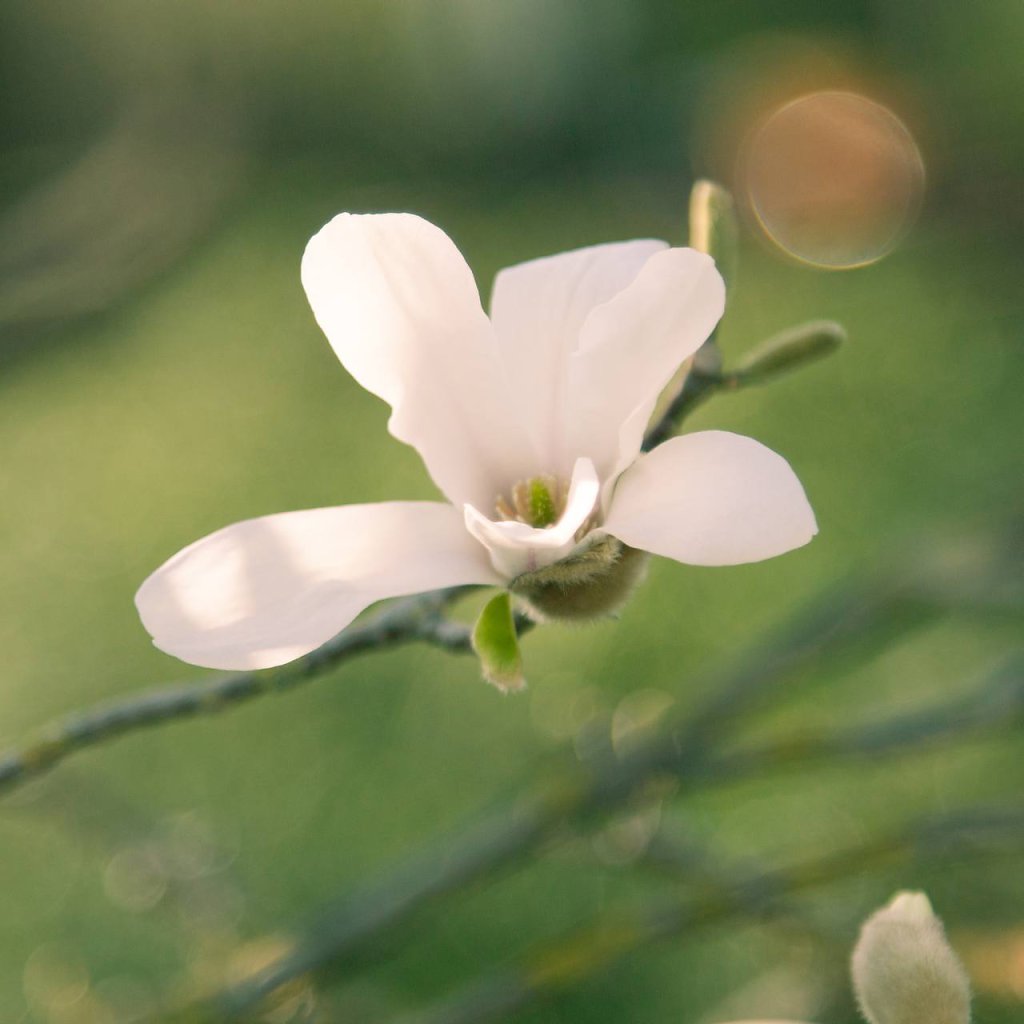 natur-05.jpg