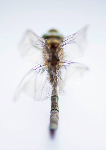 natur-10.jpg